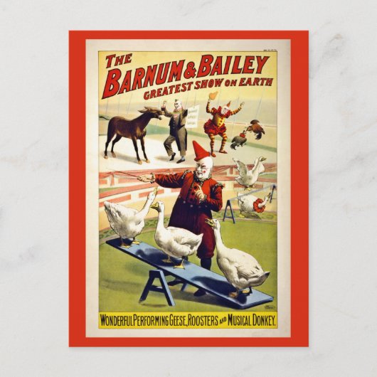 Restauriert, Barnum und Bailey, Gänse und Esel Postkarte (Vorderseite)