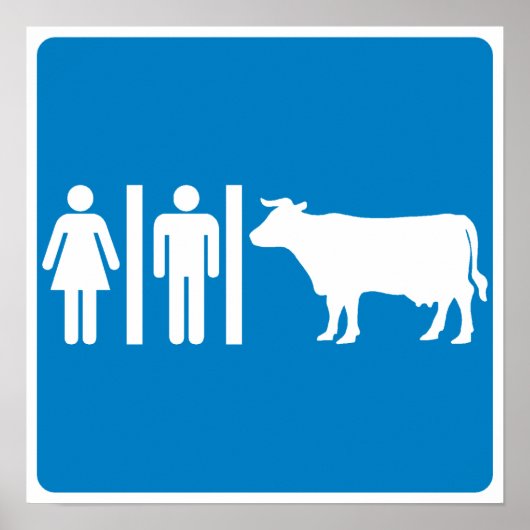 Restaurierungseinrichtungen Humorales Autobahnzeic Poster (Vorne)