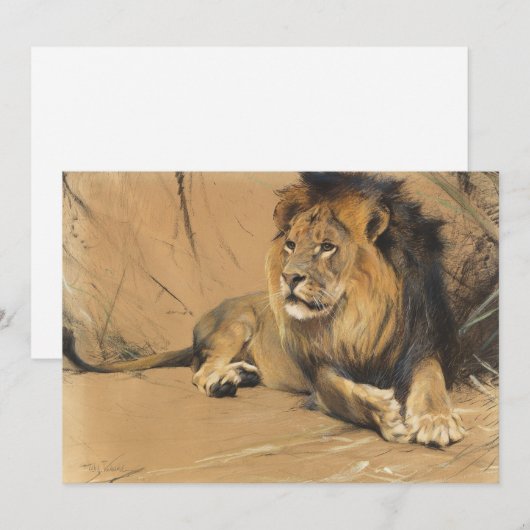 Restbeleuchtung | Wilhelm Kuhnert (Vorne/Hinten)