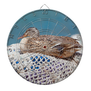 Restente Dartscheibe