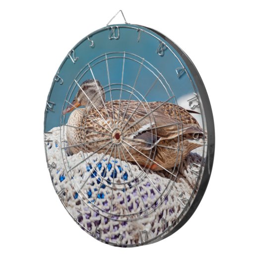 Restente Dartscheibe (Vorderseite rechts)