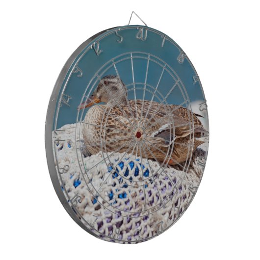 Restente Dartscheibe (Vorderseite Links)