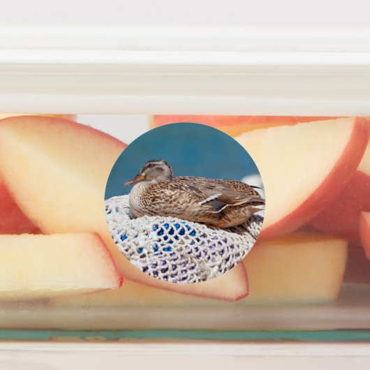 Restente Etiketten (Befestigt)