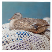 Restente Fliese (Vorderseite)