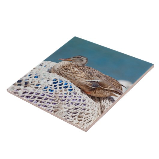 Restente Fliese (Seite)