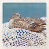 Restente Glasuntersetzer (Vorderseite)