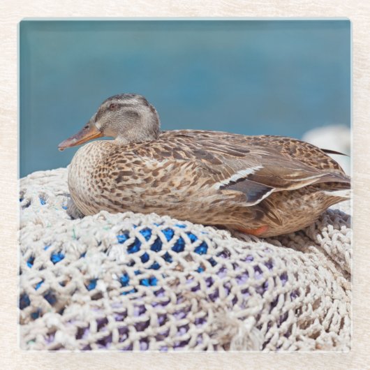 Restente Glasuntersetzer (Vorderseite)