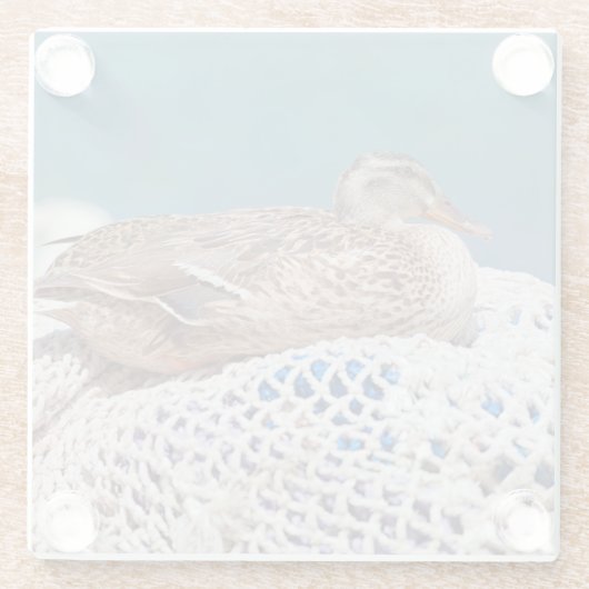 Restente Glasuntersetzer (Rückseite)