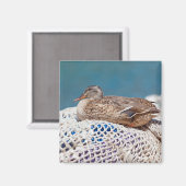 Restente Magnet (Vorderseite/Rückseite)