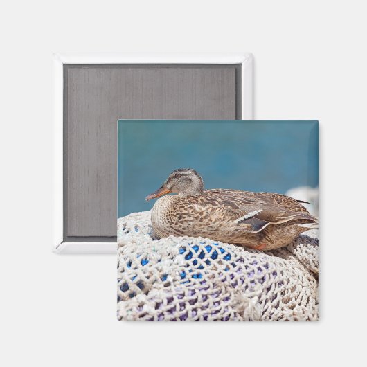 Restente Magnet (Vorderseite/Rückseite)