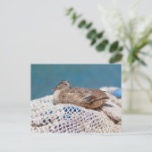 Restente Postkarte (Stehend Vorderseite)