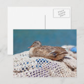 Restente Postkarte (Vorne/Hinten)