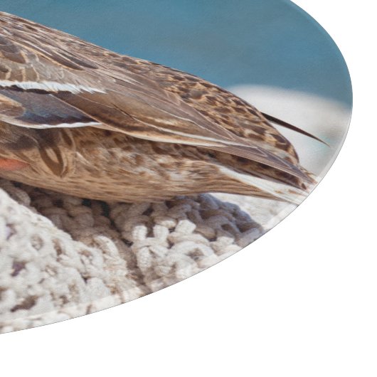 Restente Schneidebrett (Ecke)