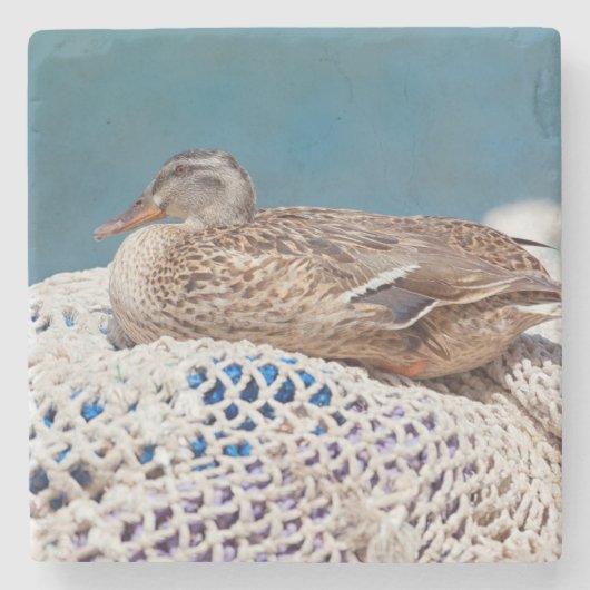 Restente Steinuntersetzer (Vorderseite)