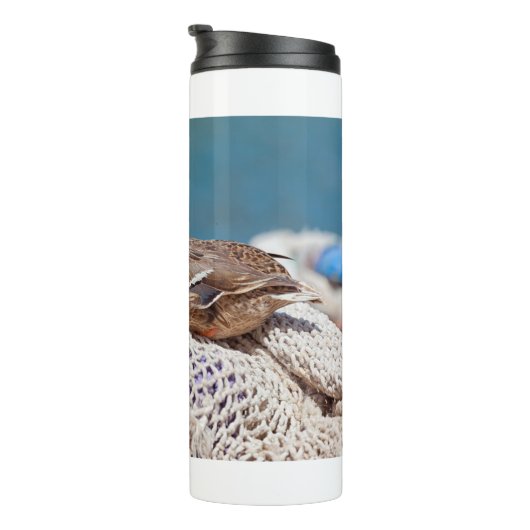 Restente Thermosbecher (Nach rechts gedreht)