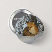 Restfuchs Button (Vorne & Hinten)