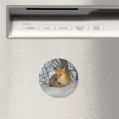 Restfuchs Magnet (In Situ (Geschirrspüler))