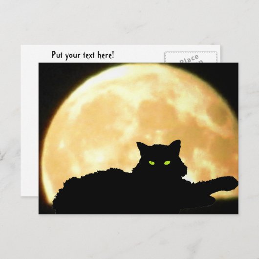 Resting Black Cat and Full Moon Postkarte (Vorne/Hinten)