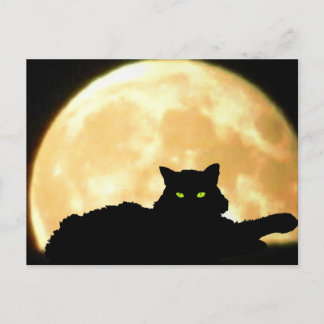 Resting Black Cat and Full Moon Postkarte