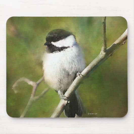 REsting Chikadee - ETSY Mousepad (Vorne)