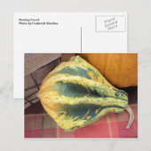 Resting Gourd Postkarte (Vorne/Hinten)