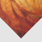 Resting Lion (von Abbott Handerson Thayer) Seidenpapier (Detail)