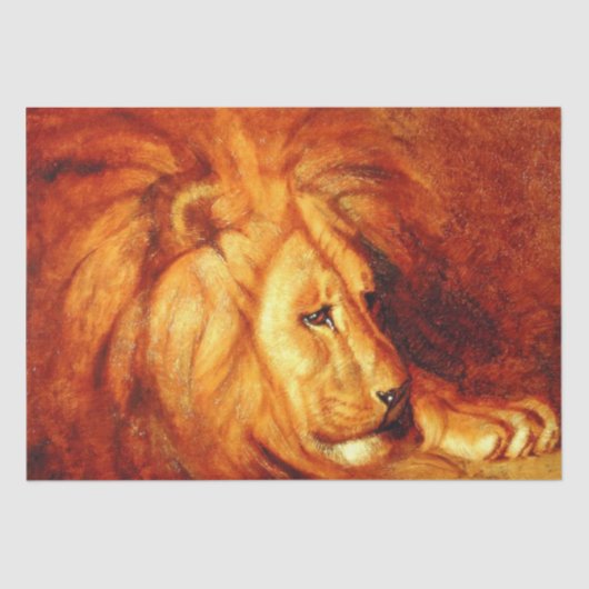 Resting Lion (von Abbott Handerson Thayer) Seidenpapier (Vorderseite)