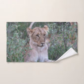Resting Lioness African Wildlife Photo Badhandtuch Set (Handtuch)