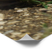 Resting Tabby Baby Poster (Ecke)