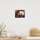 Resting Westie Poster (Küche)