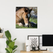 Resting Wild Pony Poster (Heimbüro)