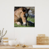 Resting Wild Pony Poster (Küche)