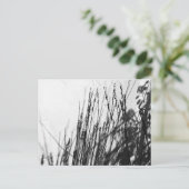 Restio / Gras schwarz und während der Silhouette Postkarte (Stehend Vorderseite)