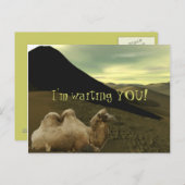 Restkamel Postkarte (Vorne/Hinten)