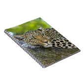 Restleopard Notizblock (Rechte Seite)