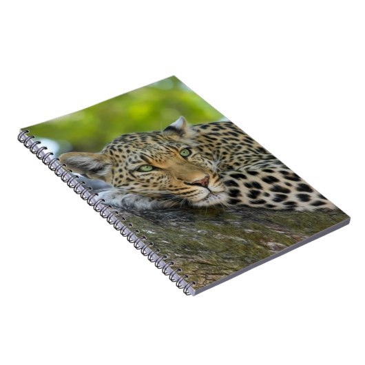 Restleopard Notizblock (Rechte Seite)