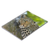 Restleopard Notizblock (Linke Seite)