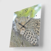 Restleopard Quadratische Wanduhr (Winkel)