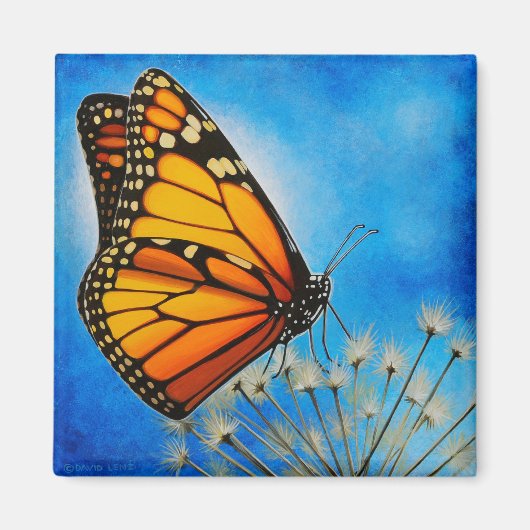 Restmonarchiermagnet Magnet (Vorne)