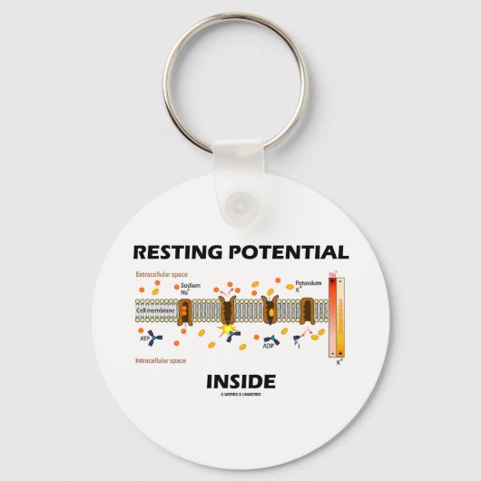 Restpotential Inside (Natriumkaliumpumpe) Schlüsselanhänger (Vorderseite)