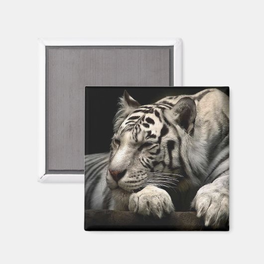 Restrukturierer Magnet (Vorderseite/Rückseite)