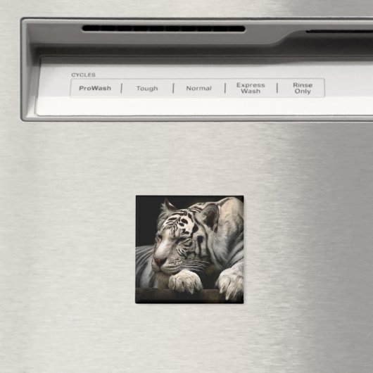 Restrukturierer Magnet (In Situ (Geschirrspüler))