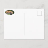 Restrukturierung von Red Fox Postkarte (Rückseite)