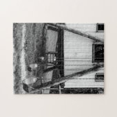 Restschwingen Puzzle (Horizontal)