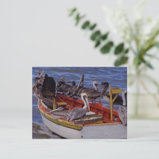 Restzeit, Venezuela Postkarte (Stehend Vorderseite)