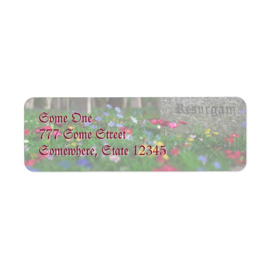 Resurgam Address Labels (Vorne)