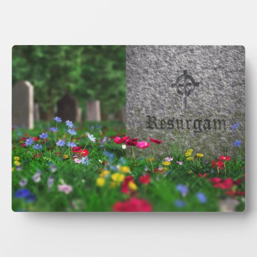 Resurgam Plaque Fotoplatte (Vorderseite)