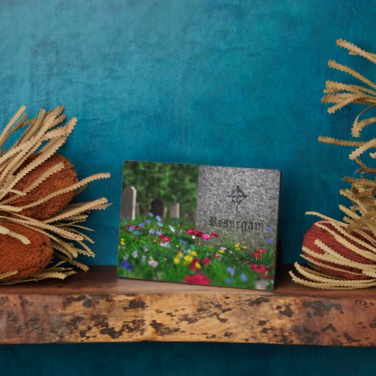 Resurgam Plaque Fotoplatte (Seite)