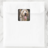 Retcue Dog Standard Poodle Classic Round Sticker (Tasche)