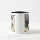 Reticulate dascyllus tasse (Zentrum)